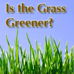 green_grass.gif