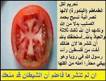 islam-tomato150.jpg