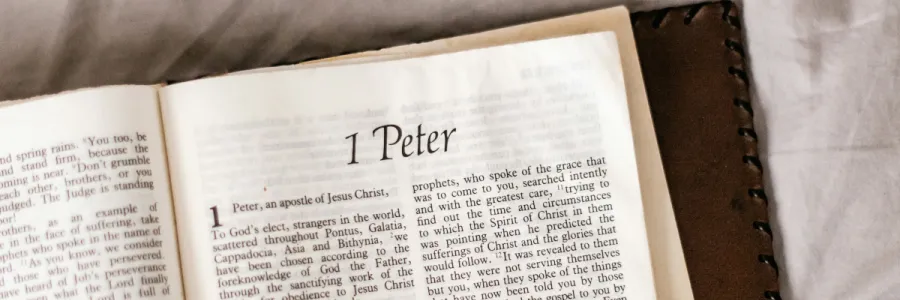 Photo of a Bible open to 1 Peter